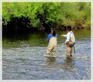 DSC09292-cropreducedWEB