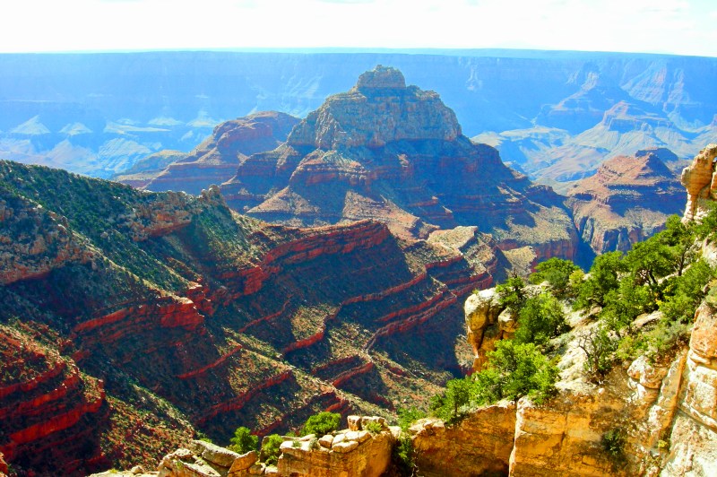 Grand Canyon-cape royal 171a