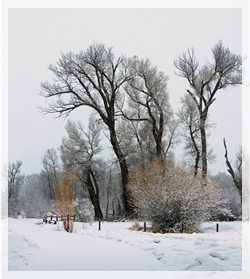 3-20-15bleak-r-cropWEB