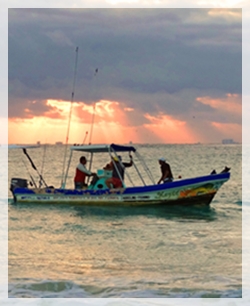 4-14-15DSC02196CROPweb