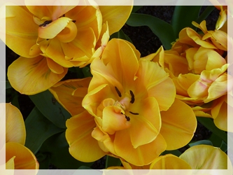 ?????????????????????????????