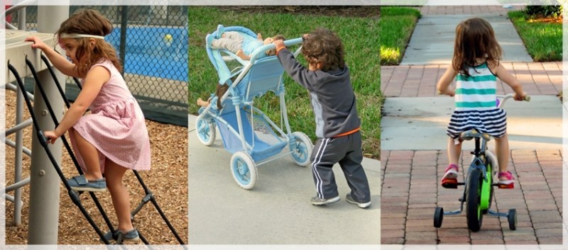 IMG_2114-crop-horz-cropweb