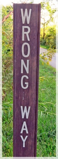 wrong way -9773web