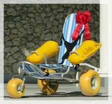 all terrain wheelchair