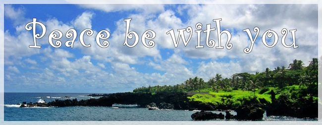 beachdscn5405maui-croppbwy-cropweb