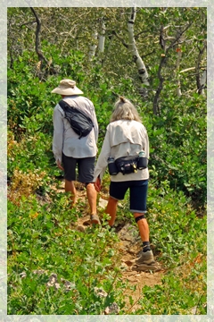 WALKING WITH HIM | Devotions of the Heart