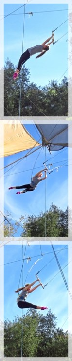 trapeze high
