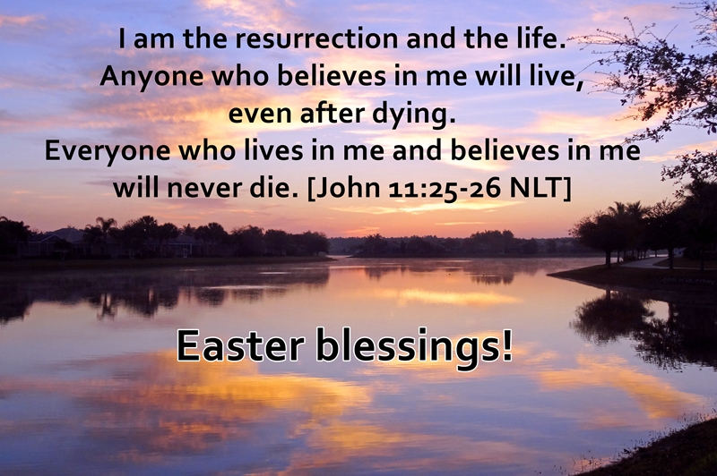 sunrise-dsc01707fleasterweb