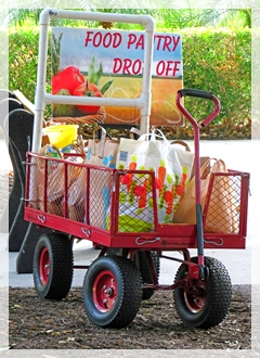 food pantry - feed the hungry