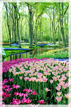 Kuchenhof Gardens netherlands