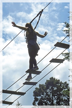 tree top adventure - jackson