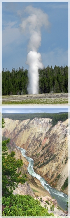 lion geyser - grand canyon of yellowstone