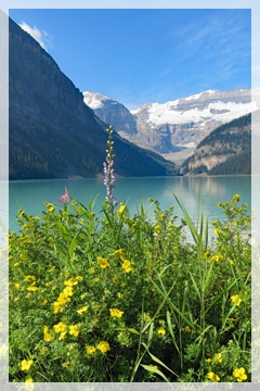 lake lpouise - canada