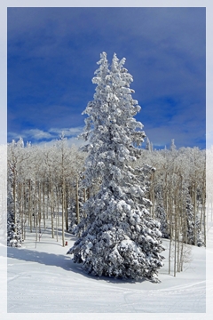 Storm Peak - Steamboat