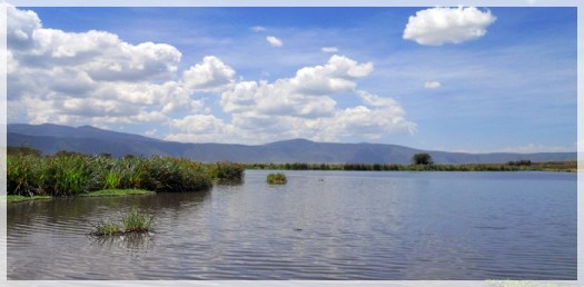 ngorongoro crater