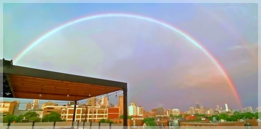 chicago rainbow