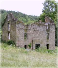 along Stagecoach trail