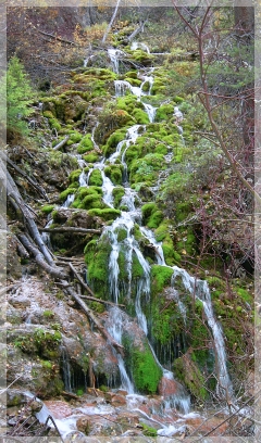 from hanging lake, colorado