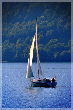lake lucerne sailboat