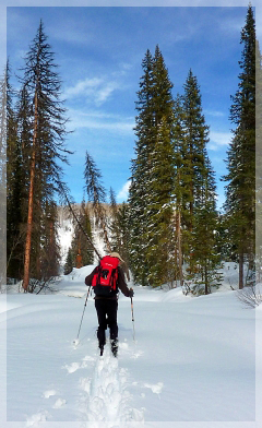 cross country skiing