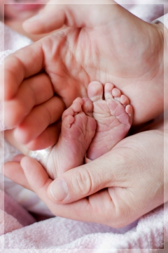 baby feet