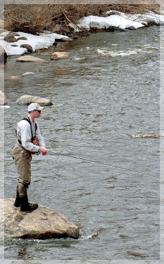yampa river fishing
