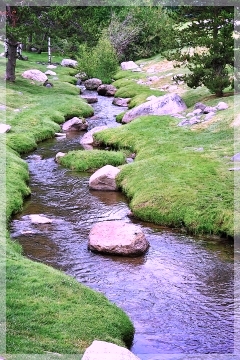 Burgess Creek - Steamboat CO
