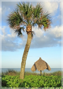 lowdermilk park - naples FL