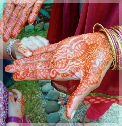 mehndi