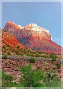 Zion Nat'l Park
