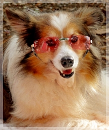 rose-colored-glasses