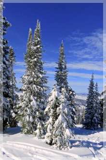 Steamboat - Colorado